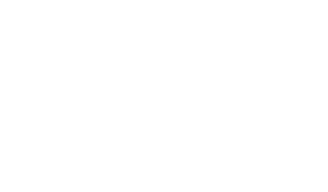 HeadPro